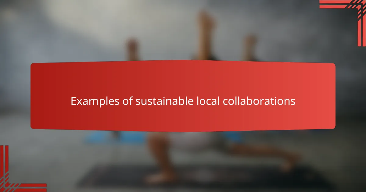 Examples of sustainable local collaborations