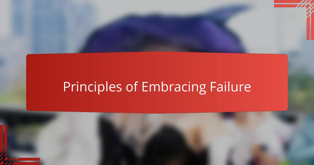 Principles of Embracing Failure